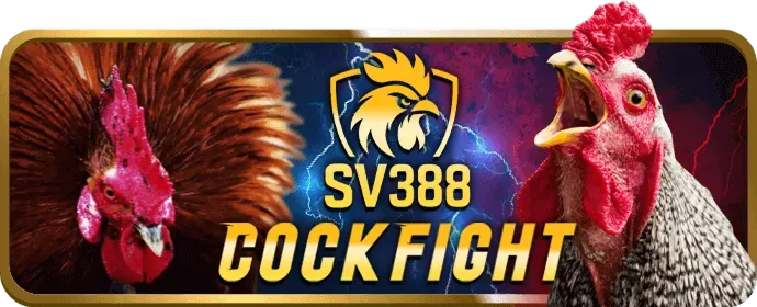 Hoàn trả cược thua thể thao sc68 nhà cái